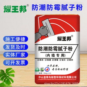 外貿(mào)工廠定制 內(nèi)外墻防霉型 室內(nèi)家庭裝修墻面用找平粗細(xì)膩子粉