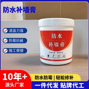 源頭廠家 防水補(bǔ)墻膏 墻面修補(bǔ)白色防水膩子膏 跨境出口